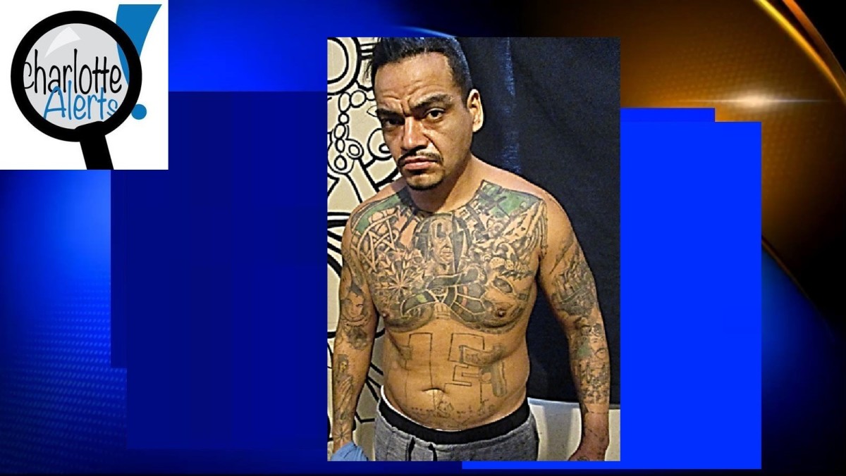 Ms 13 Gang Member And Illegal Immigrant Arrested In Ohio Charlotte Alerts 