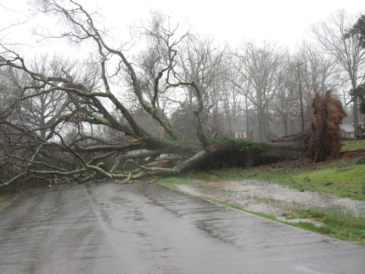 CHARLOTTE MAN DIES AFTER TREE FALLS ON HOUSE DURING HURRICANE HELENE